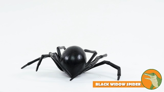 3D Spider Black Widow Realistic Small Size For Tank - 11in X 7in - Foto 6