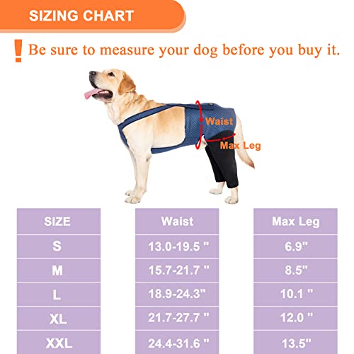 Coodeo Dog Recovery Suit, Cone Collar Alternative, Abrasion Resistant Dog Recovery Rear Sleeves, Washable 2.5Mm Thick And Waterproof, Pet Wounds Prevent Licking, Bite (L, Blue) #TOP5