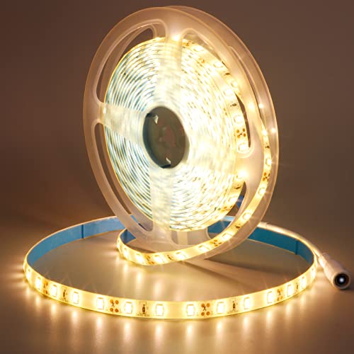 JOYLIT 12V Striscia LED IP65 Impermeabile 5 Metri