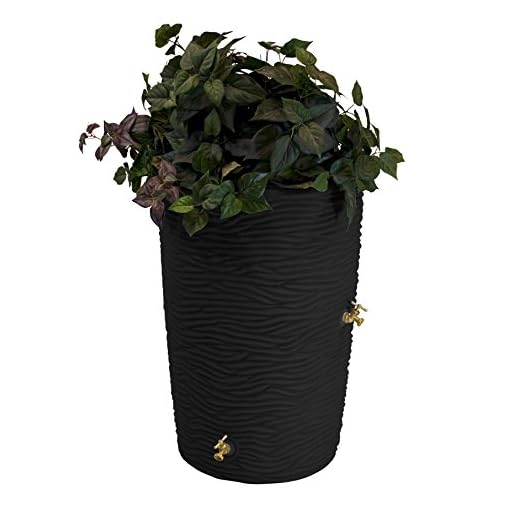 Good Ideas Imp-L50-Blk Impressions Palm Rain Barrel, 50 Gallon, Black