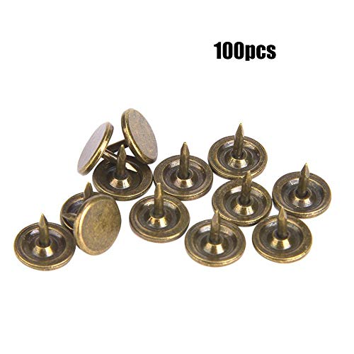 Garosa 100 Stück Polsternagel Flachkopf Nagelköpfe Zierleiste für Polsterbolzen Reißnägel Stifte für Möbel Sofa Türdekoration(9 x 8mm)