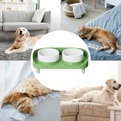 Gamelle surélevée inclinée pour chat ergonomique design vert - 4