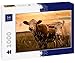 Lais Puzzle Mucche al Tramonto 1000 Pezzi