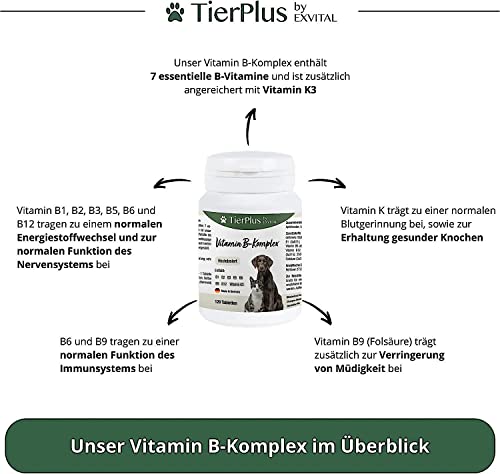 Tierplus Vitamin B Komplex für Hunde & Katzen- B1, B2, B3, B5, B6, B9, B12, K3, 120 Tabletten, hochdosiert- Made in Germany
