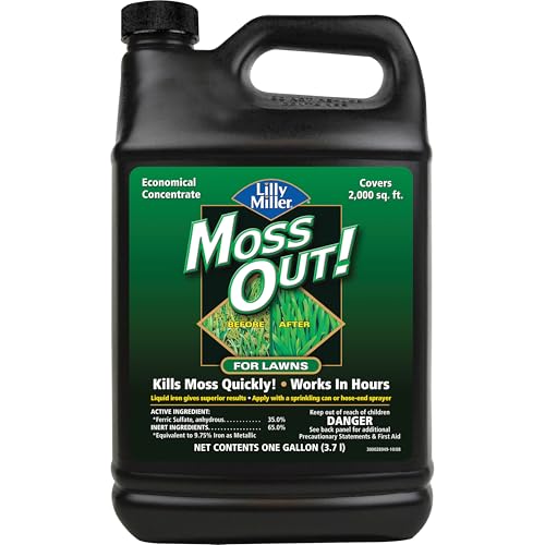 Lilly Miller Moss Out For Lawns...