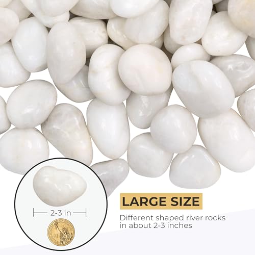 VINICS 5lbs Large Pebbles for Indoor Plants, 2-3 Inch Natural White River Rocks for Aquarium, High Polished Decorative Stones for Vase Filler Fish Tank Landscaping Garden