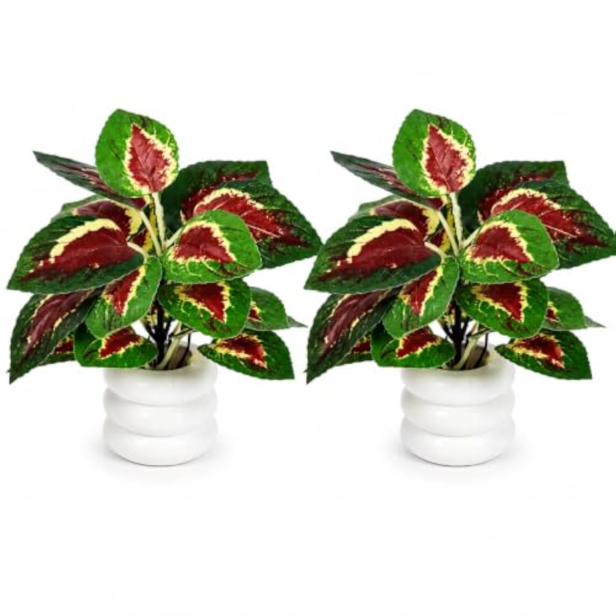 SHASHYA Croton Petra Artificial Fittonia Plant with Pebble Pot