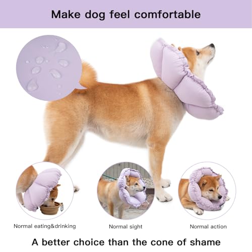 Image of H HIDREAM Soft Dog Cones for Medium Dogs,Cute Adjustable Cone for Dogs to Stop Licking,Dog Recovery Collars & Cones that can Protect Head and Foot Wounds,Purple Flower All-Season Style