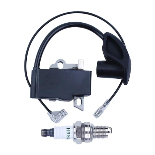 Bobine d'allumage et bougie pour réparer un démarrage difficile FS110