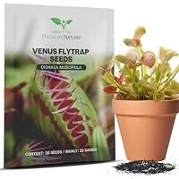 Magic of Nature: Venusfliegenfalle Samen (20 Stk) Dionaea muscipula Saatgut