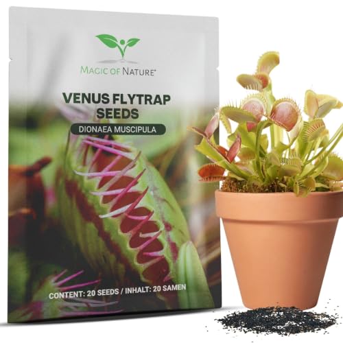 Magic of Nature: Venusfliegenfalle Samen (20 Stk) Dionaea muscipula Saatgut