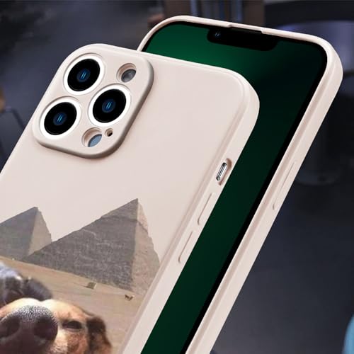 Coque iPhone 16 Pro Max amusante antichoc pour éviter les rayures - 3