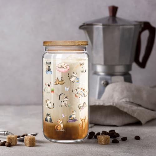 Funny Cat Glass Cups with Lids and Straws Gifts for Love Cats Women Girls, Cute Cool Cat Lover Gifts Decor Stuff Accessories, Cats Lovers Owners Christmas Gift for Daughter Sister Aunt Best Friends