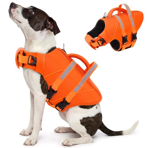 Queenmore High-Visible XS Dog Life Jacket for Swimming, Boating & Pool