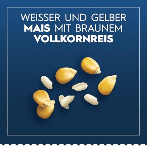 Barilla Pasta Nudeln Glutenfreie Fusilli aus köstlichem Mais und Reis – perfekt für Menschen mit Zöliakie oder Glutenunverträglichkeit 400 g