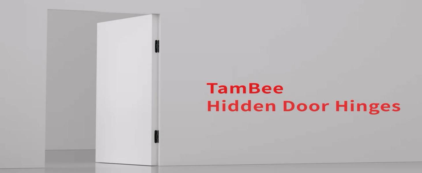 TamBee Hidden Door Hinge Invisible Hinges - Black, 3 Way