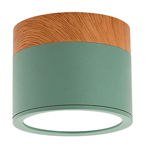 Modern Green Pendant Light - Minimalist Flush Mount Chandelier, Stylish