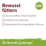 Natürlich Pfiffikus Vogel-Buffet – Fettfutterblock mit Insektenfett für Wildvögel – Vogelfutter Fettblock proteinreiches Ganzjahresfutter– nachhaltig & CO₂-sparend – Energiekuchen für Wildvögel