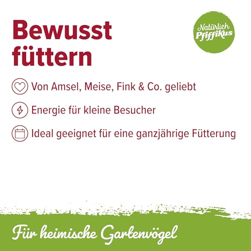 Natürlich Pfiffikus Vogel-Buffet – Fettfutterblock mit Insektenfett für Wildvögel – Vogelfutter Fettblock proteinreiches Ganzjahresfutter– nachhaltig & CO₂-sparend – Energiekuchen für Wildvögel