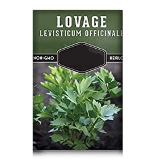 VibeX Lovage-100 Seeds (B0B9Y3VBBL) Amazon Price History, Amazon Price Tracker