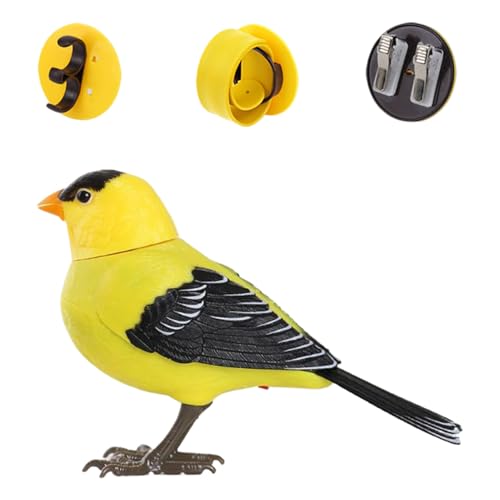 Oiseau parlant, cadeau anniversaire original et figurine enfant interactive
