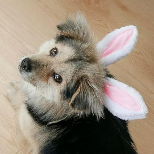 Diadema Orejas de Conejo para Perros Pequeños miniatura 5