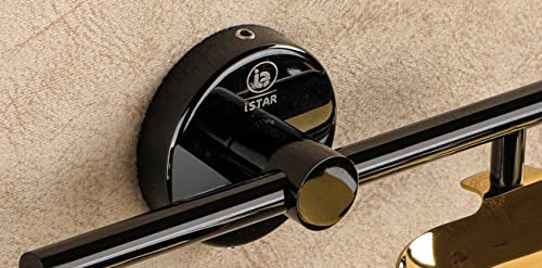 Image of iSTAR Stainless Steel 304 Grade Bathroom Soap Holder /Soap Stand /Soap Dish for Bathroom /Bathroom Accessories Multicolor (Black & Gold, Pack of 1, Double)