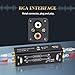 MICNAUX Audio Hum Eliminator Ground Loop Noise Isolator (No Affects Bass), Dual Channel Gold Coating Aluminum Shell Noise Filter for Speaker Home Car Audio System Theater Plug & Play (Black)