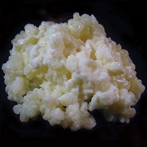 - 1 TBSP Milk Kefir Grains and eBook "Milk Kefir Unleashed by Thomas Egbert" - Fresh Live Active Probiotic Starter Cultures - Fusion Teas