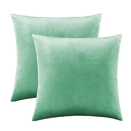 Image of GIGIZAZA Decorative Couch Throw Pillow Covers,Teal Square Pillow Cushion Covers 22x22,Pillow Cases Velvet Pillow Covers