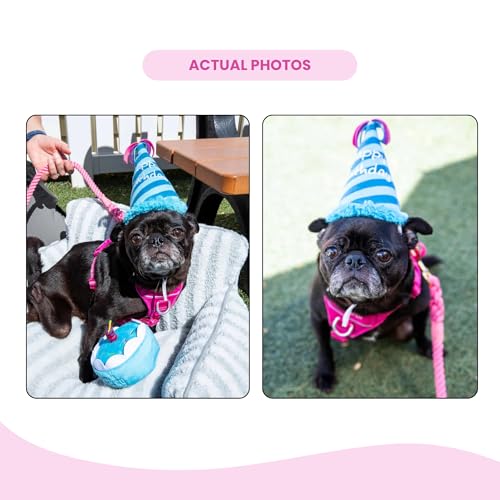 Set de Juguetes para Perros Cumpleaños Birthday Boy 3 piezas miniatura 7