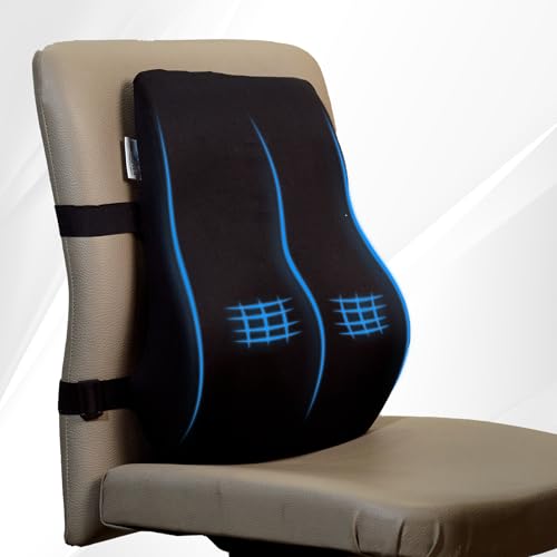 WELLGIVER Memory Foam Lumbar Support Pillow for Office Chair & Car Seat – Ergonomic Back Cushion for Lower Back Pain Relief, Posture Support & Comfortable Long Sitting