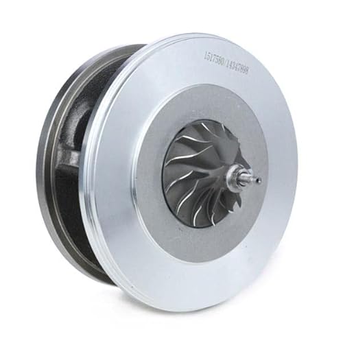 RIDEX Coreassy turbina 4973C0020