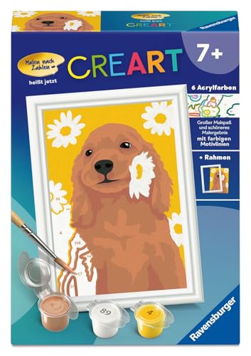 Malen nach Zahlen peinture sans dépasser kit contours colorés suricates pour enfant