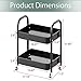 Melody House 2 Tier All-Metal Rolling Storage Cart with Handle and Locking Wheels - Kitchen, Laundry, Office, Bathroom Organizer, Black
