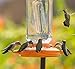First Nature 3088 32-ounce Oriole Feeder (2 Pack)