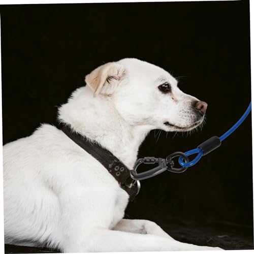 Laisse de promenade pour chien ajustable pour éviter les tractions