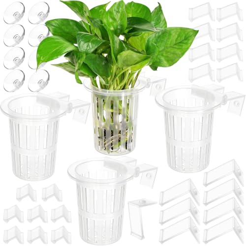 Image of Borlech New Upgraded Large Aquarium Plant Holder with 1.57-inch Extension Hooks and Suction Cups for Fish Tank Aquaponic Plant Cultivation and Aquascape Accessories Decorations (4 Pack) Transparent