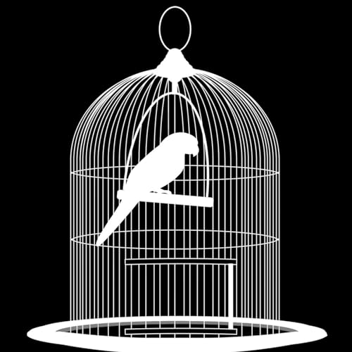 Minisode: Canary In A Coal Mine - Update and Soft Announcement??? (Bonus BTS)