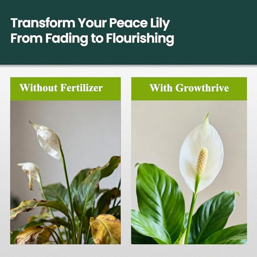 Fertilizante Líquido GrowThrive para Espatifilo 10oz miniatura 7