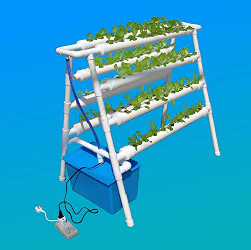 Bowry Hydroponics - Hydroponic 72 Cell Growing System