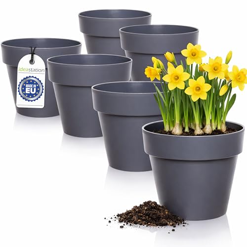 Idea station IBI macetas plastico 6 x 12