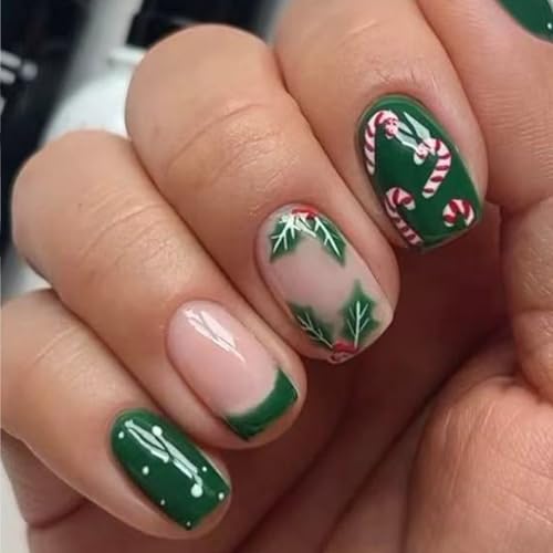 Ղt`X^ClH 24 Z`΂̗tLfBP[p^[~̒܂̑ԃvX