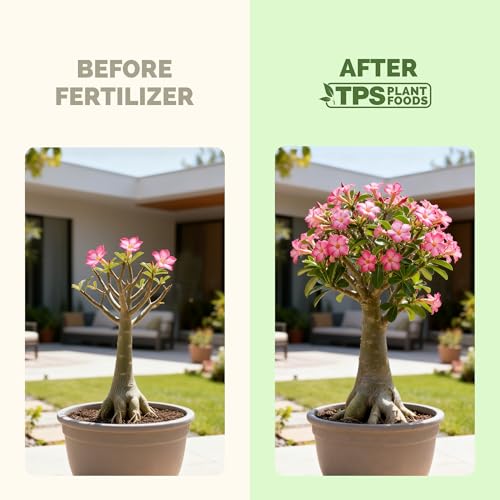 Desert Rose Fertilizer líquido 8 oz miniatura 3