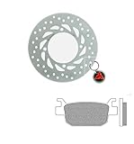 Kit Disco Freno Posteriore Con Pastiglie