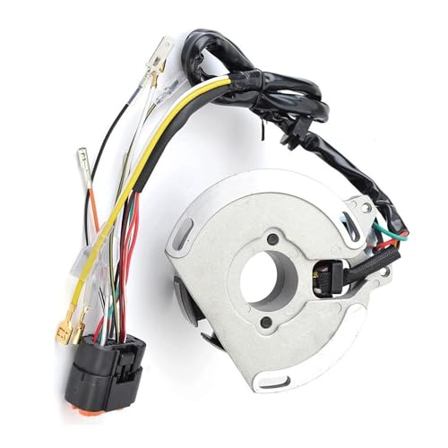 Bobine de stator EC250 EC300 idéale pour vos sorties tout-terrain et chemins