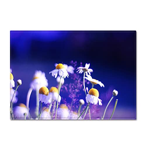 Mateju Tapis Chambre Moderne Imprimé 3D, Tapis Antidérapants Absorbant Flanelle, Tapis de Sol de Salle Bain, Carpettes de Paillasson, pour Salon, Couloir, Cuisine (Marguerite,40x60cm) Cover