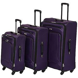American Tourister Pop Max Softside Luggage with Spinner Wheels, Purple, 3-Piece Set (21/25/29)