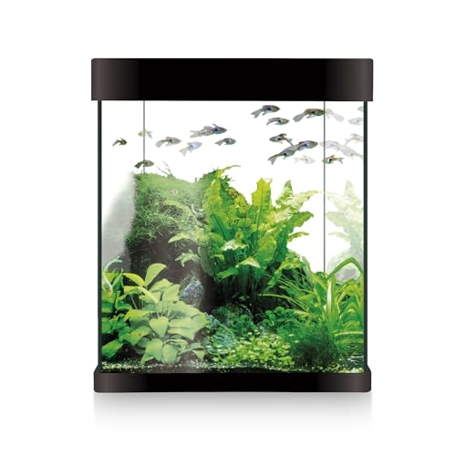 Acuario ICA Kit Nano AQUALED 10 litros Negro