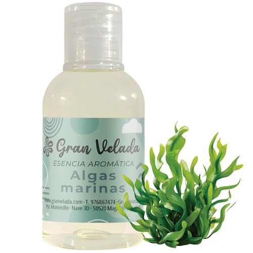 Esencia Aromática Algas Marinas 1 Litro | Aroma Fresco y Cítrico para Cosméticos Profesionales. Ideal para Cremas, Aceites de Masaje y Jabones.